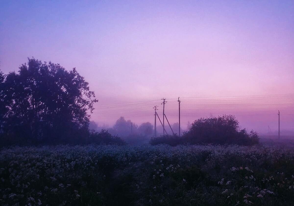 王楚钦夺得WTT新加坡大满贯男单冠军